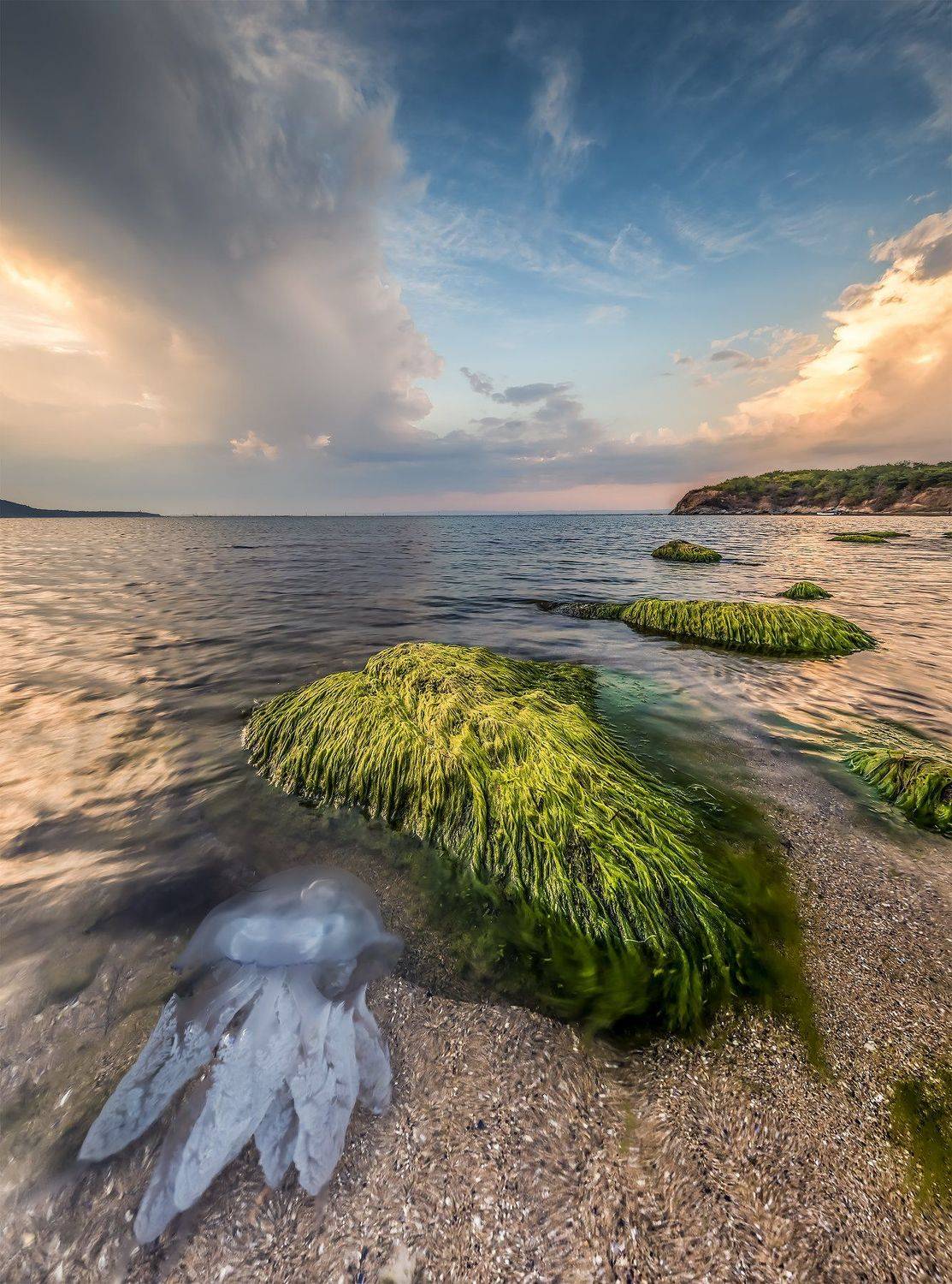 sunset, jellyfish, rock, sea, seascape, lamdscape, Jeni Madjarova