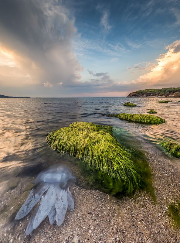 sunset, jellyfish, rock, sea, seascape, lamdscape The end of the summer фото превью