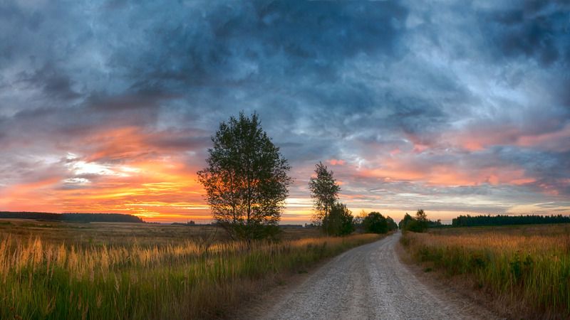 Утро в Сельце фото превью