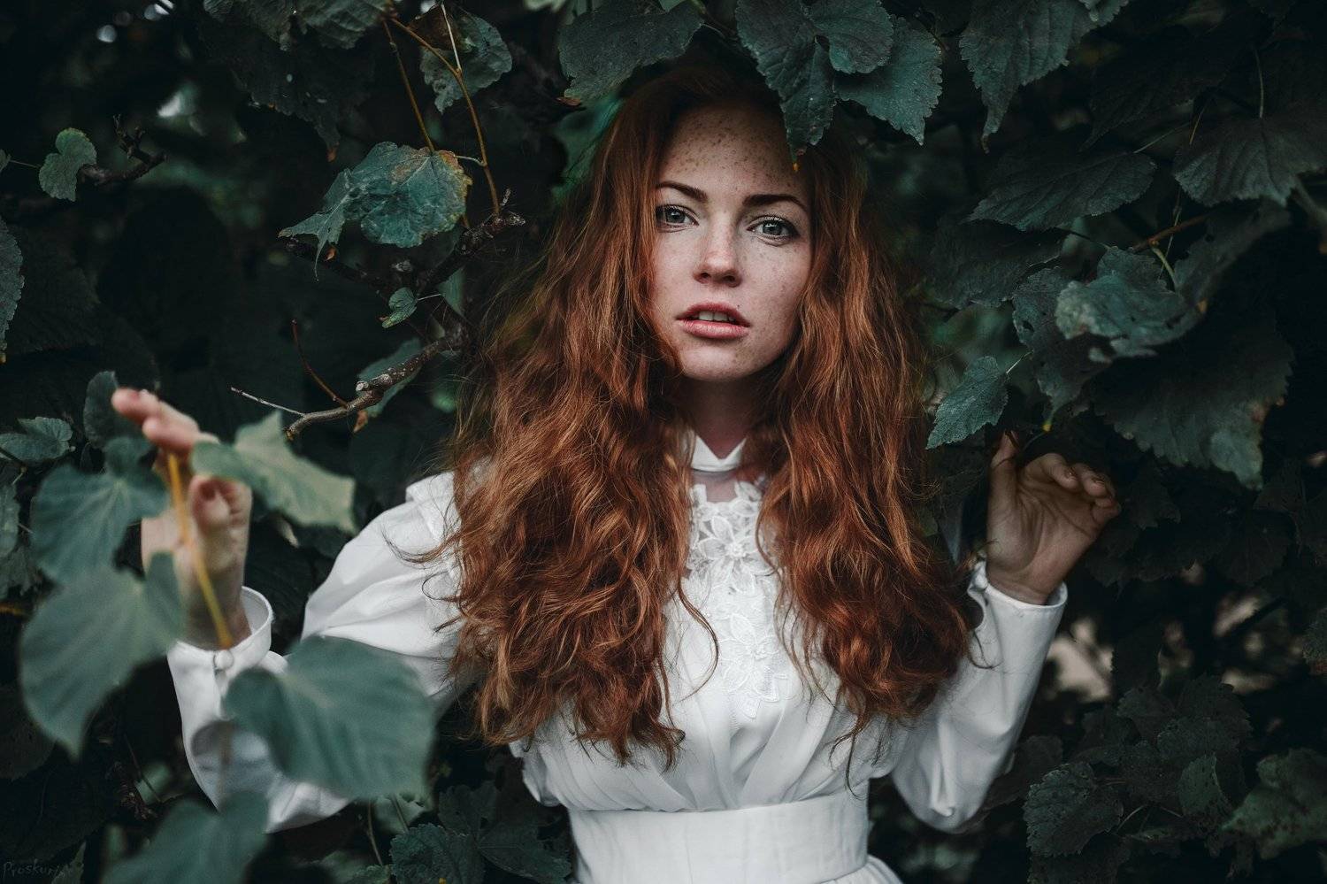 портрет, Иван Проскурин