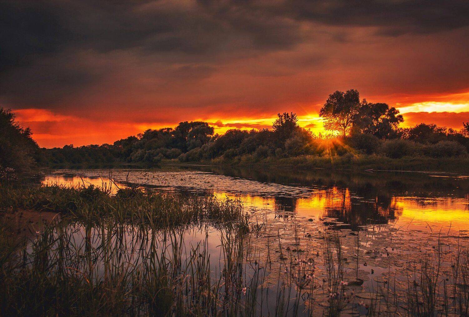 фото, природа, пейзаж, река, лес, закат, Екатерина