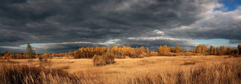 осень Русский пейзаж ) фото превью