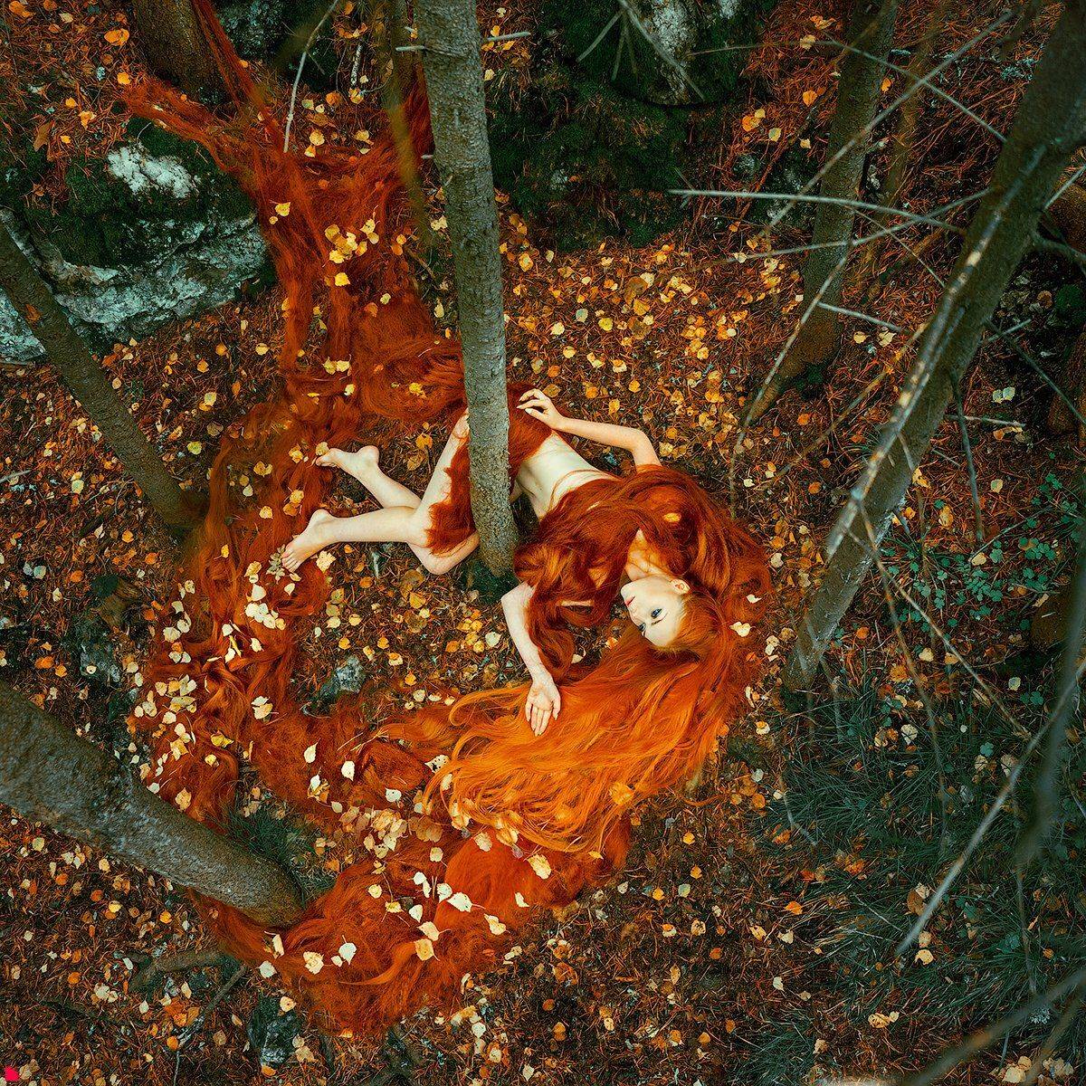 , Осипов Ёжъ Александр