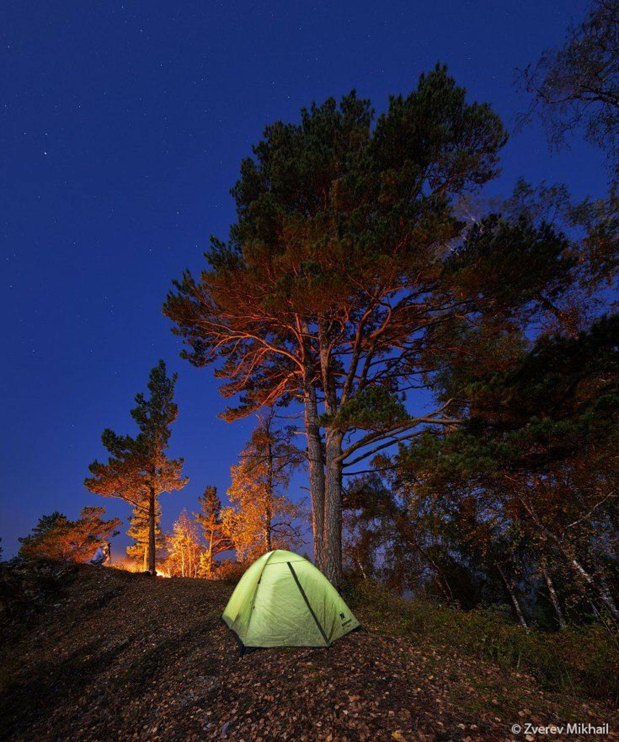 , Михаил Зверев