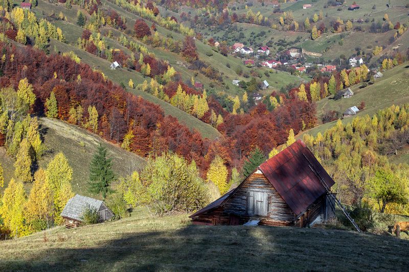 house,autumn,hills,trees,colors,fall House on the hill фото превью