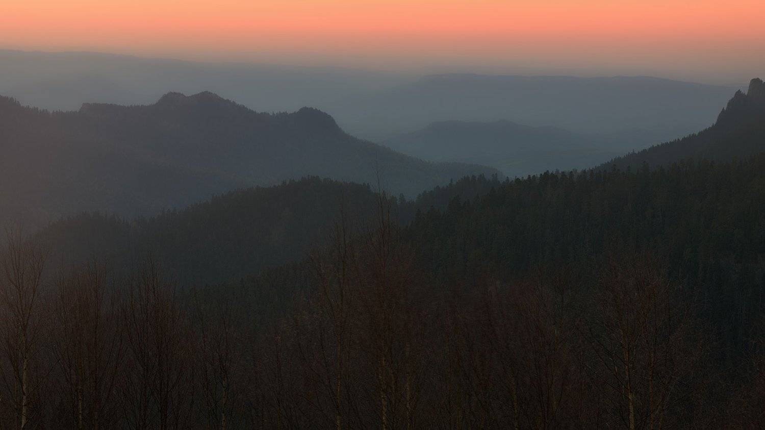 , Alexander Plekhanov