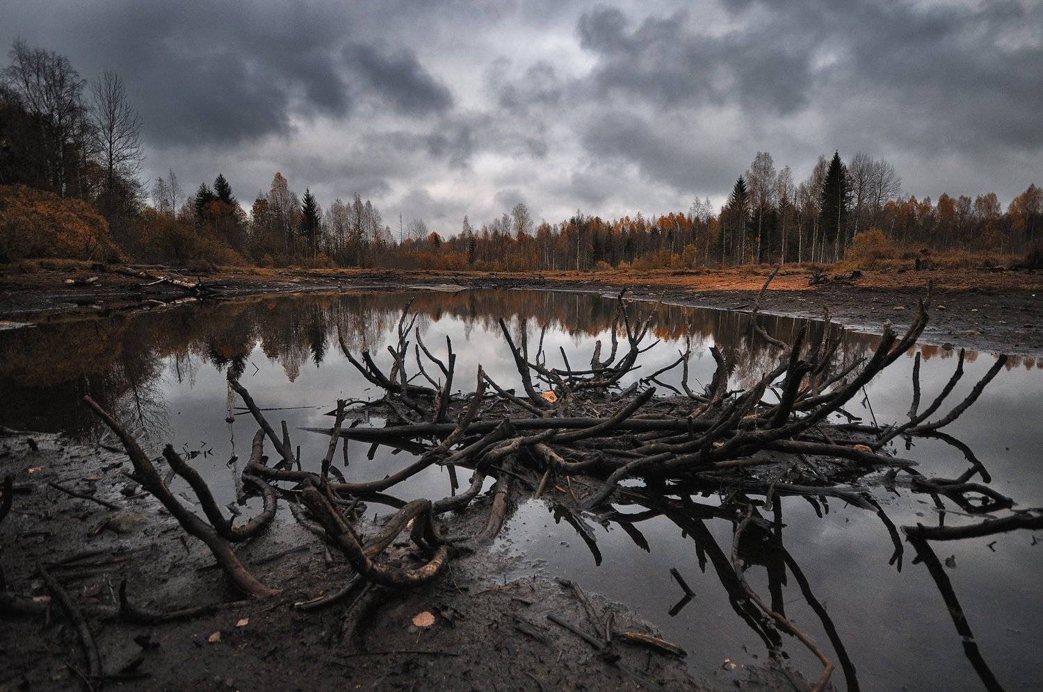 , Андрей Куликов
