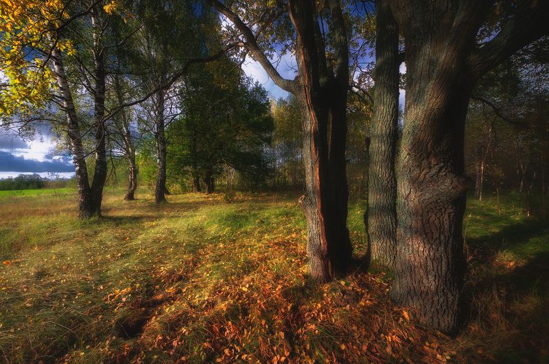 *** фото превью