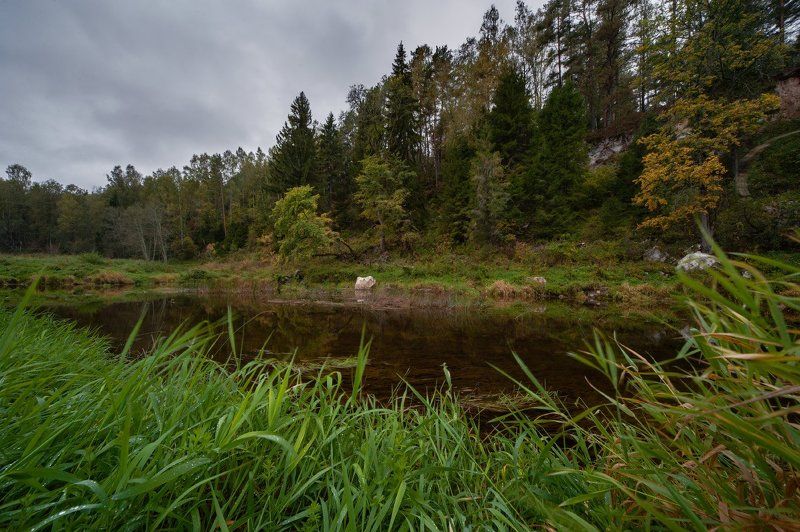 _ фото превью