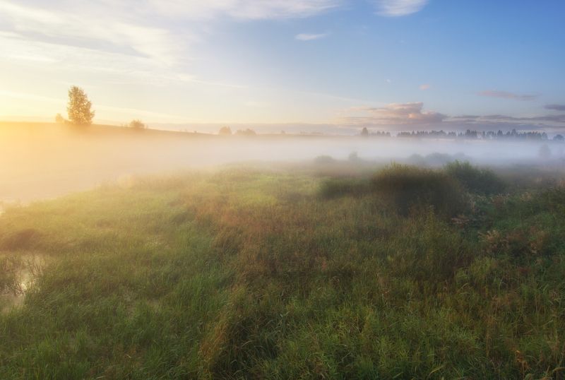 Утренний свет фото превью