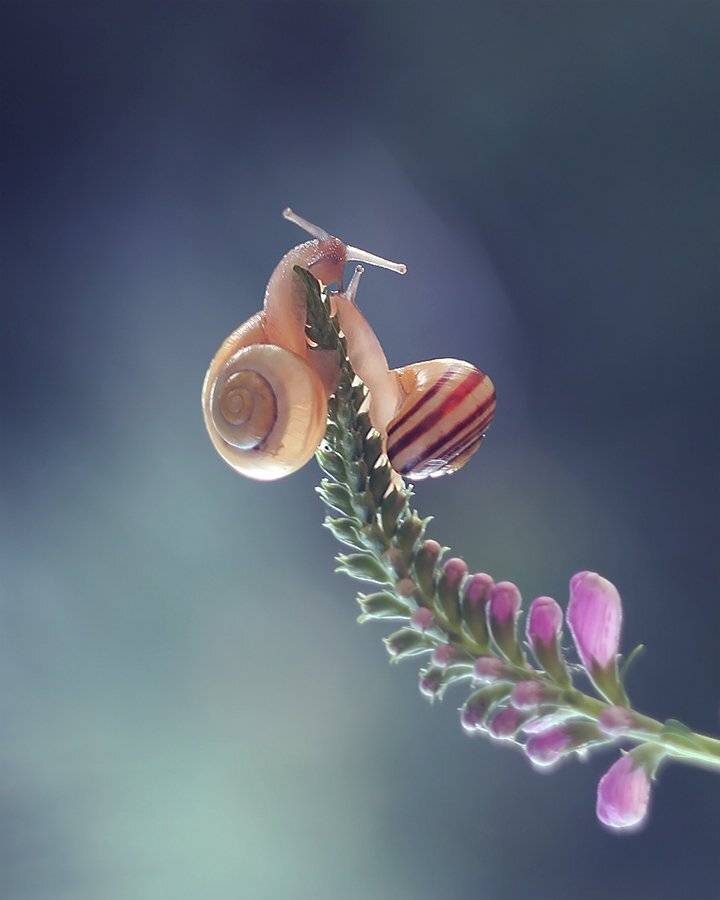 , Pawel Plucinski