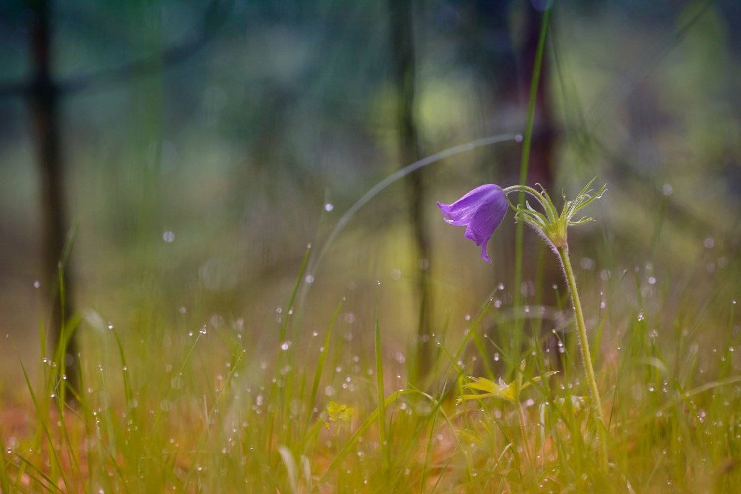 , Кузнецов Дмитрий