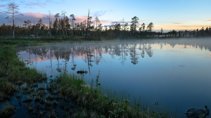 Белая ночь, Вода, Гладь, Голубой, Закат, Июль, Кольский полуостров, Лето, Небо, Озеро, Отражение, Север, Сказка, Сосны, Туман Северная сказка фото превью