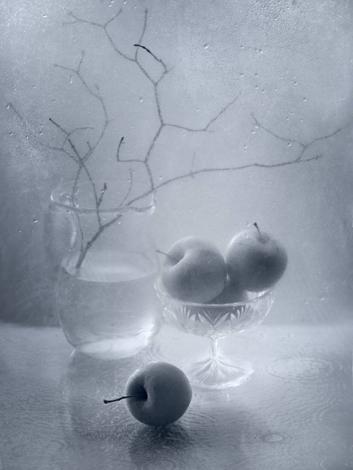 яблоки, ветка, кувшин, ваза, капли, дождь, натюрморт, Елена