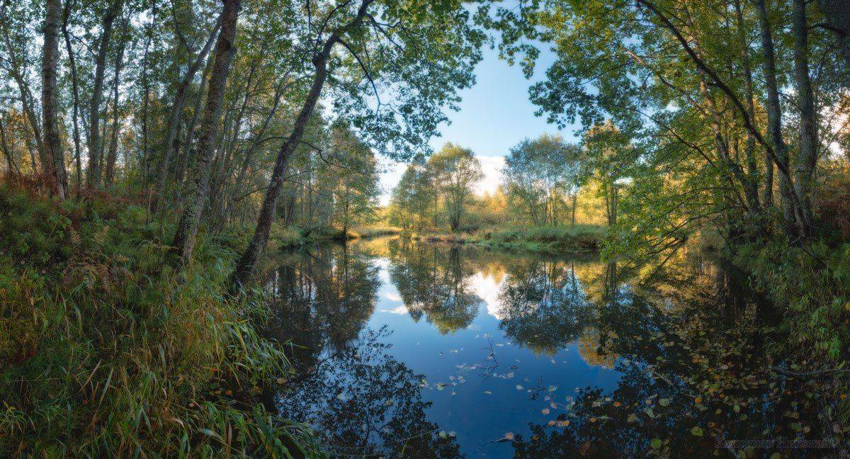 , Хохряков Николай