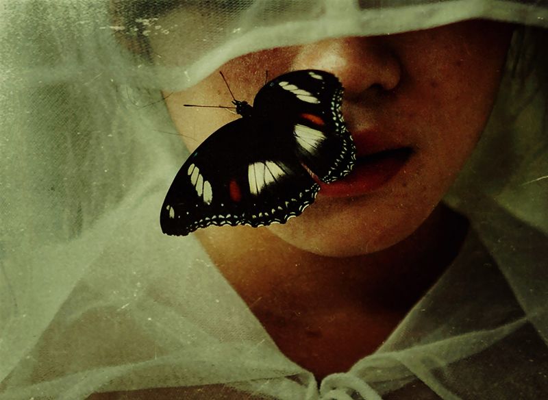 silence is broken фото превью