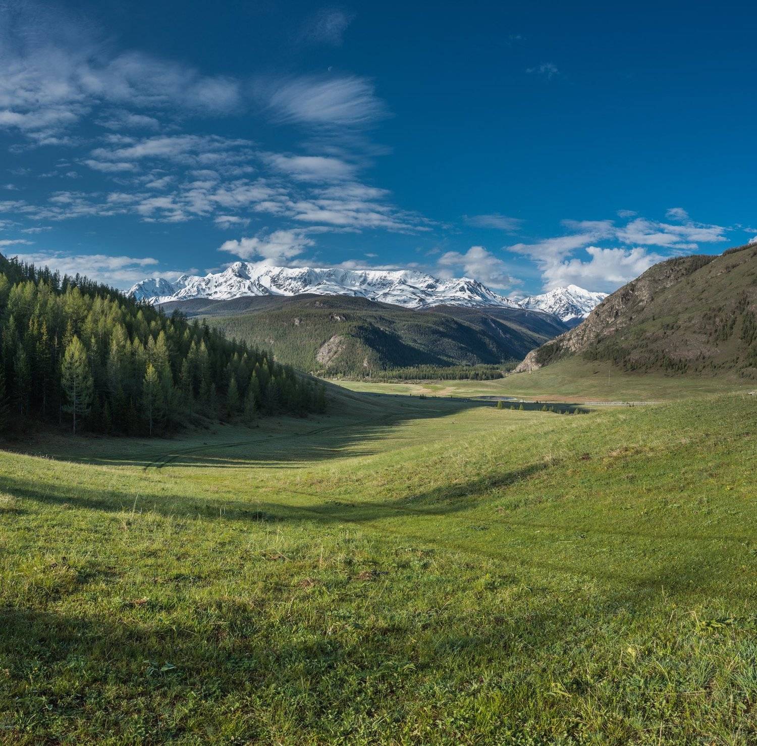 горы, небо, облака, лес, Горный Алтай, трава, луга, пейзаж, природа, путешествие, Сергей Ослопов