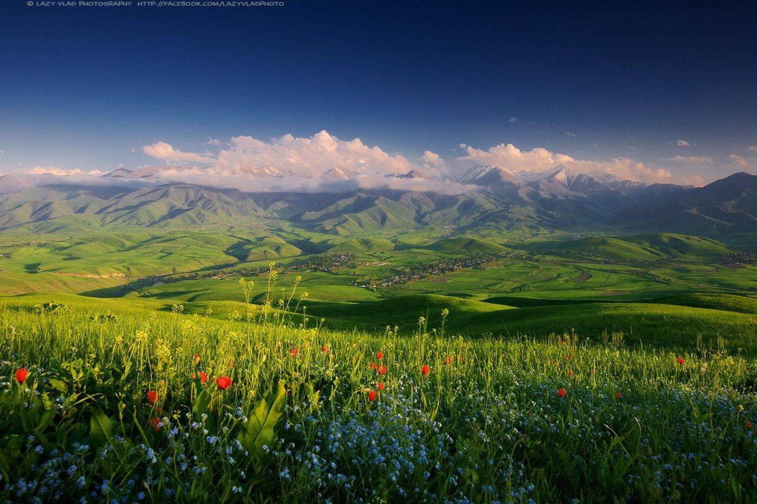 киргизия, жизнь, alamedin, kg, аламедин, ала-тоо, alatoo, kyrgyzstan, mountains, flowers, lazy_vlad, lazyvladphoto, кыргызстан, бишкек, bishkek, Lazy Vlad