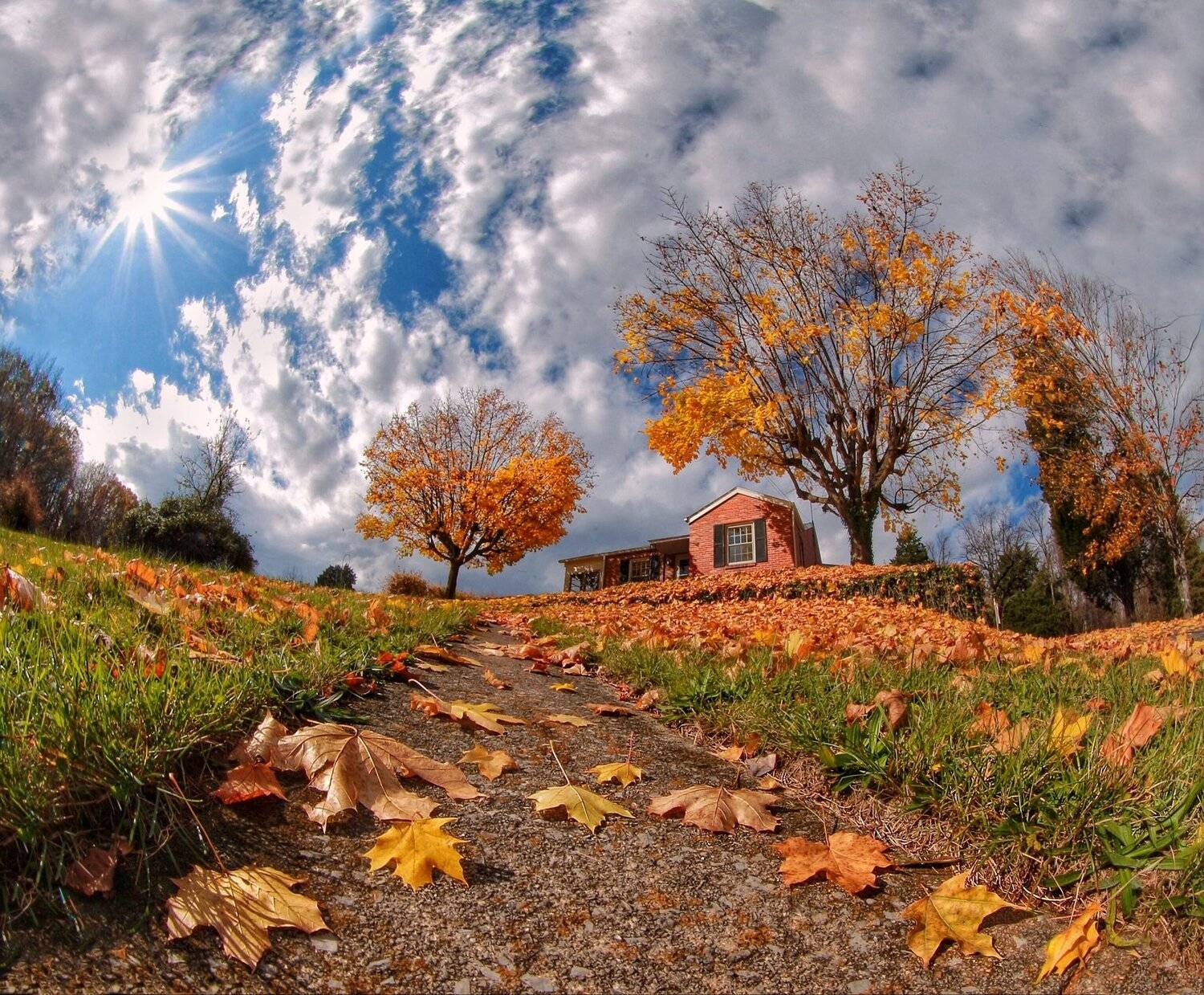 Осень, пейзаж, Roman Mordashev