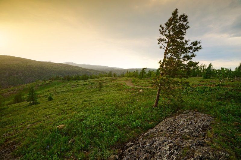 Абзаково, Банное, Башкирия, Горы, Дерево, Закат, Камни *** фото превью