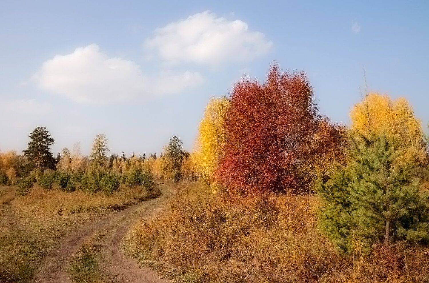 , Николай Морский