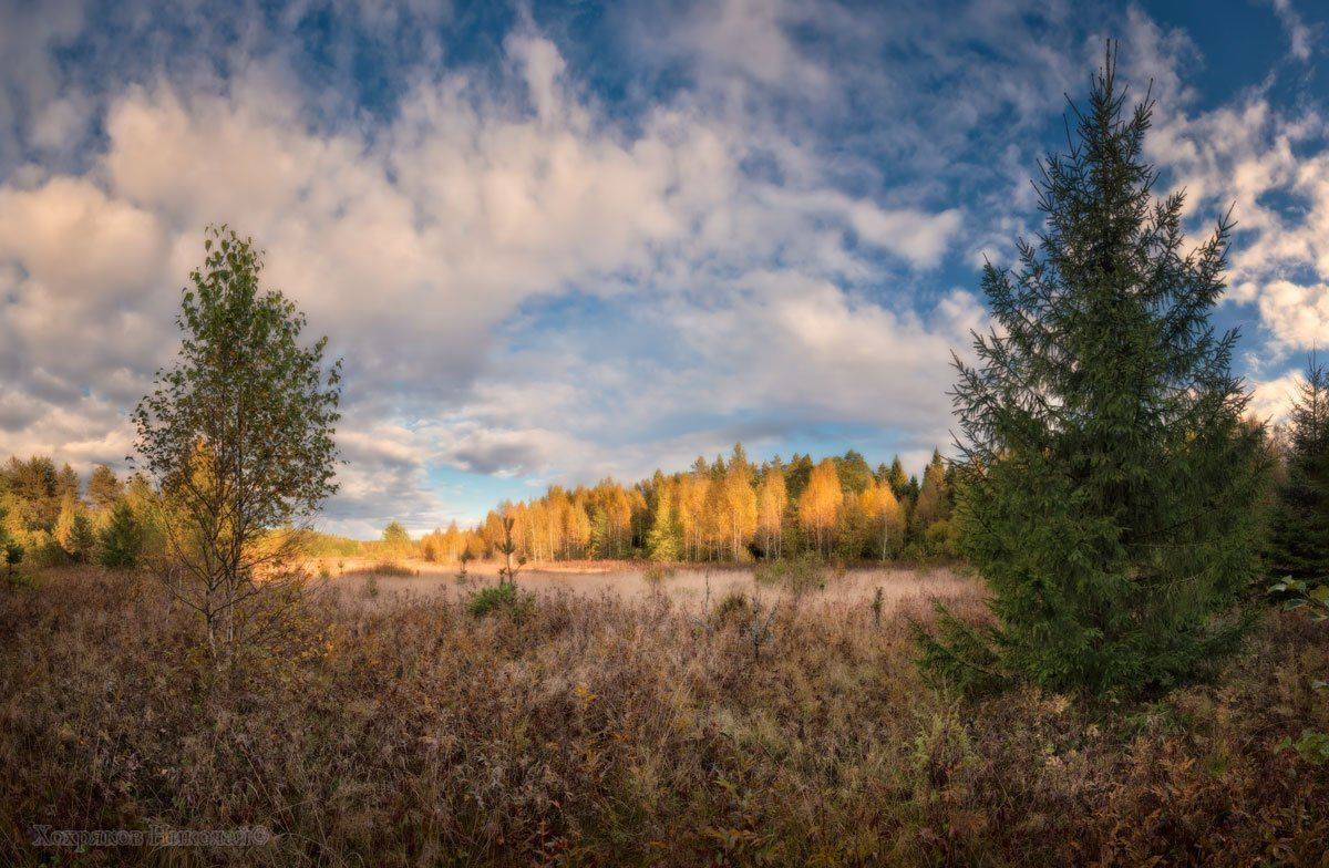 , Хохряков Николай