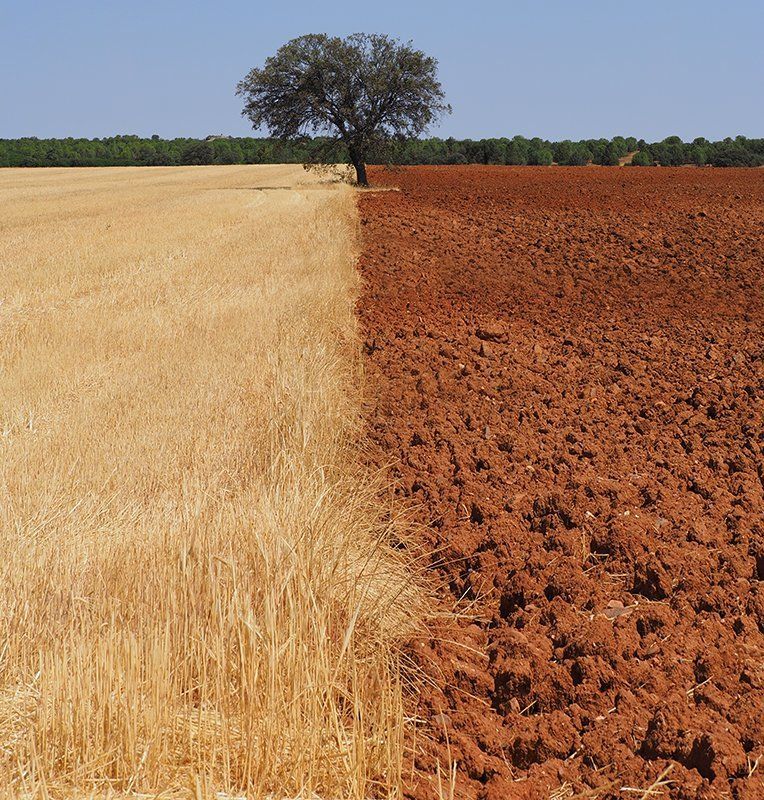 знойный испанский мотив 3 фото превью