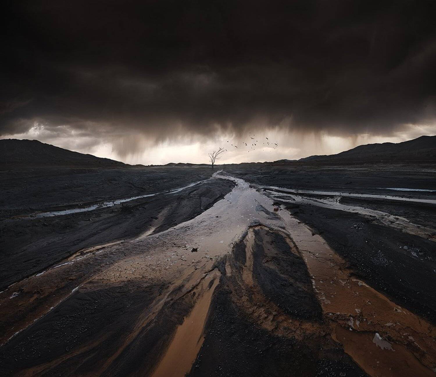 , Дeнис Бoдрoв