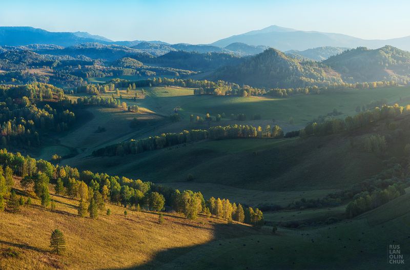 осень, алтай, чарыш, Осенний Алтай. фото превью
