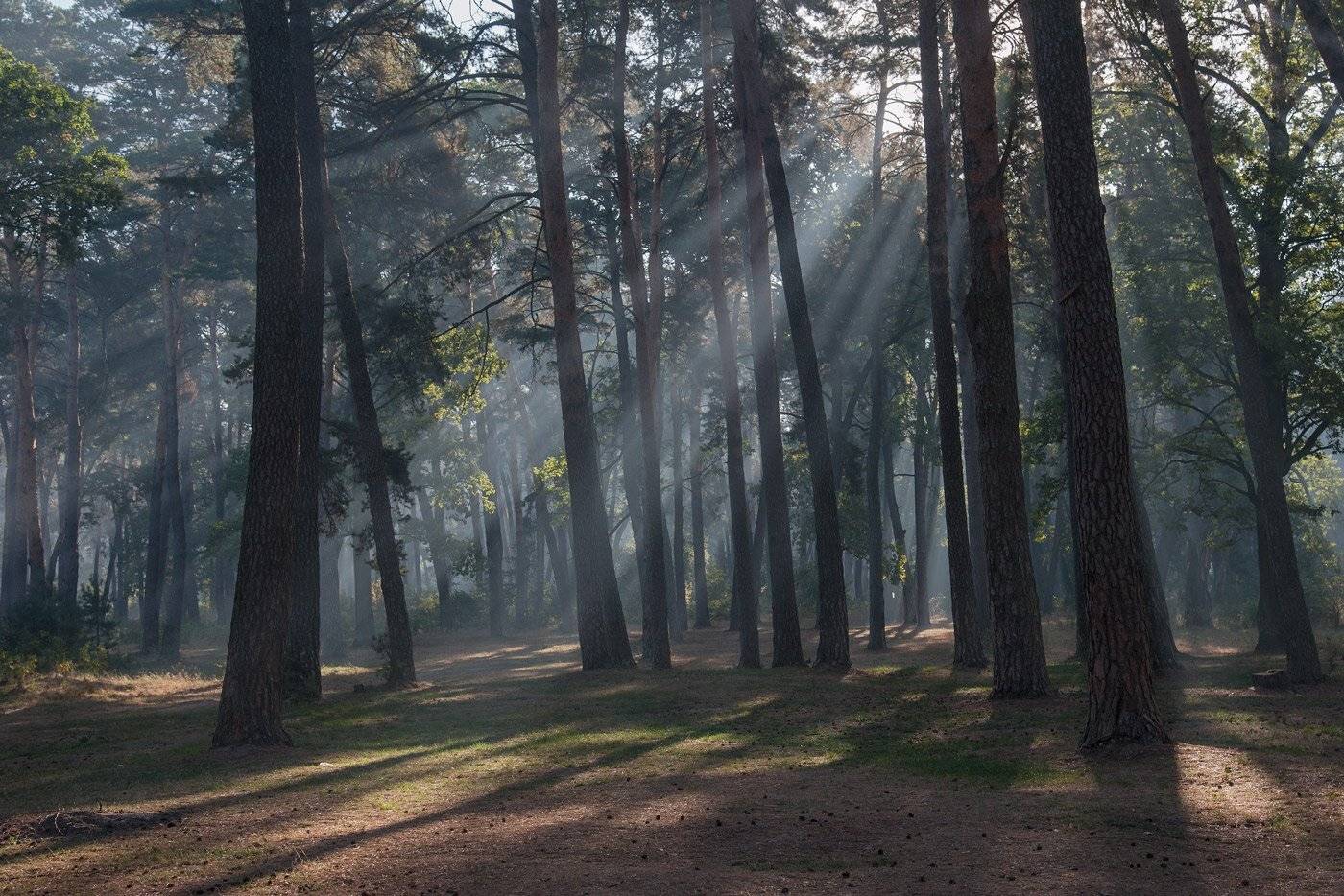 , Володимир Карчевський