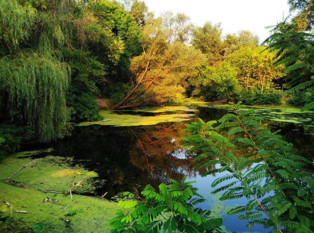 , Сергей Богачёв