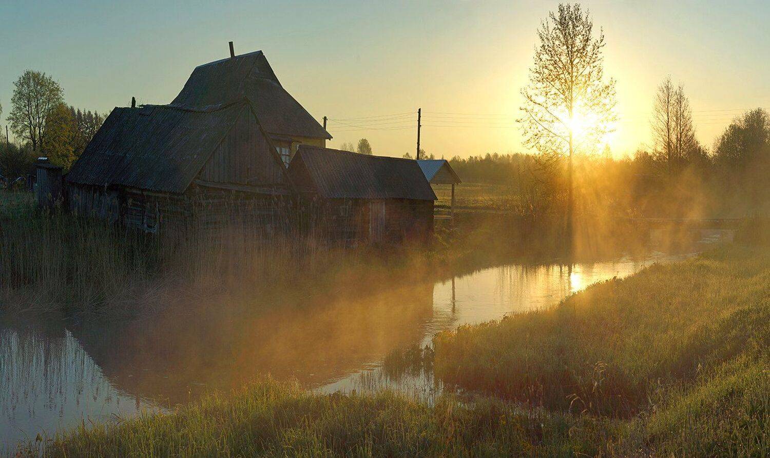 Алоль, Псковскаяобласть, Рассвет, Туман, Петр Косых