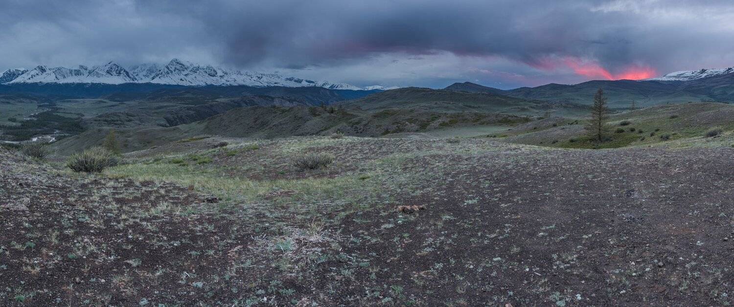 Горы, небо, облака, закат, дерево, ледники, Курай, Алтай, лето, пейзаж, природа, панорама, путешествие, вечер, Сергей Ослопов