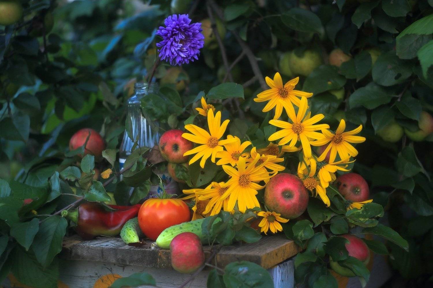 , Дмитрий Алексеев