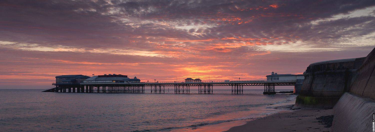 , Данила Алишев