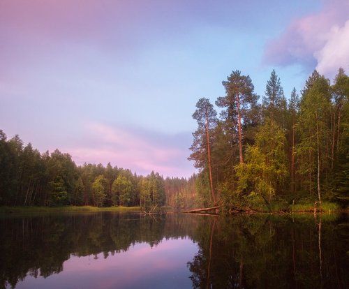 Во глубине сиреневых сумерек