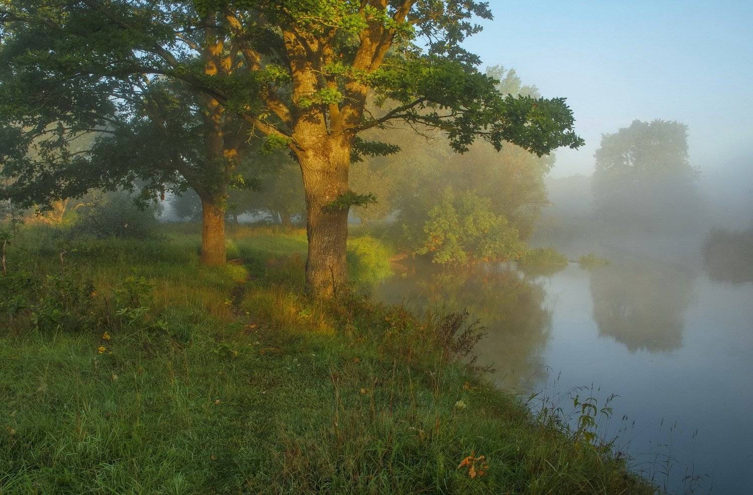 , Александр Гвоздь