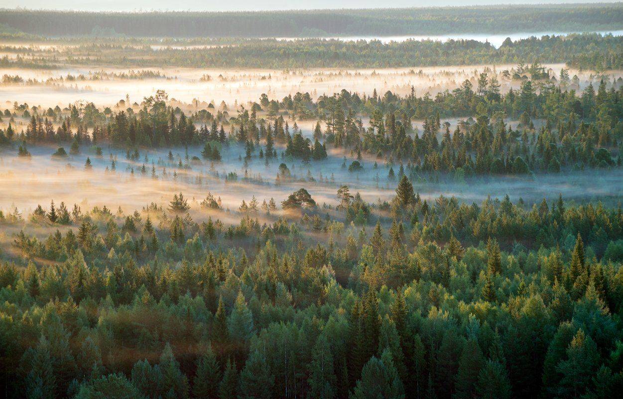 , Воинков Виктор