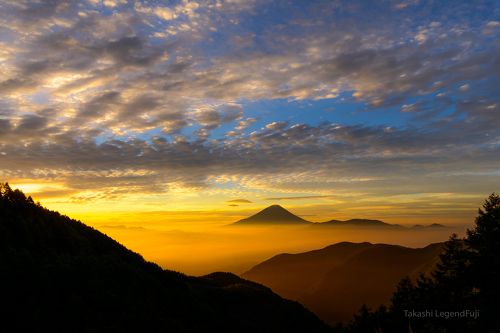 Shine of morning glow