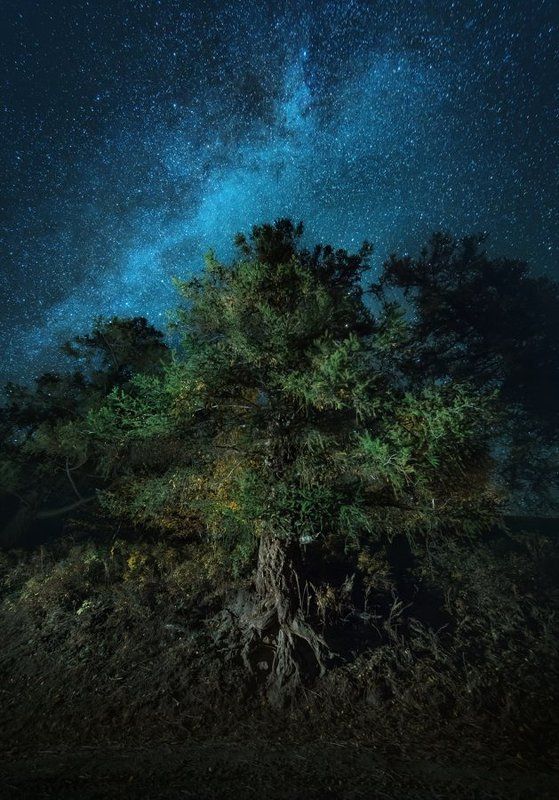 Великан фото превью