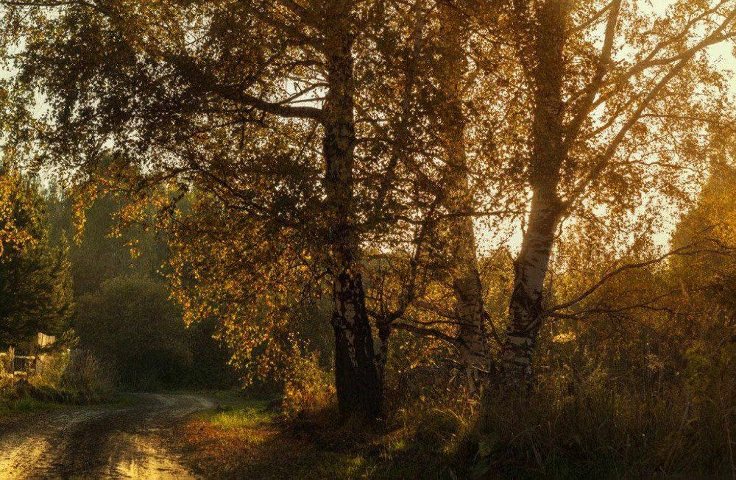 Осень, Пейзаж, Сентябрь, Курочкина Диана