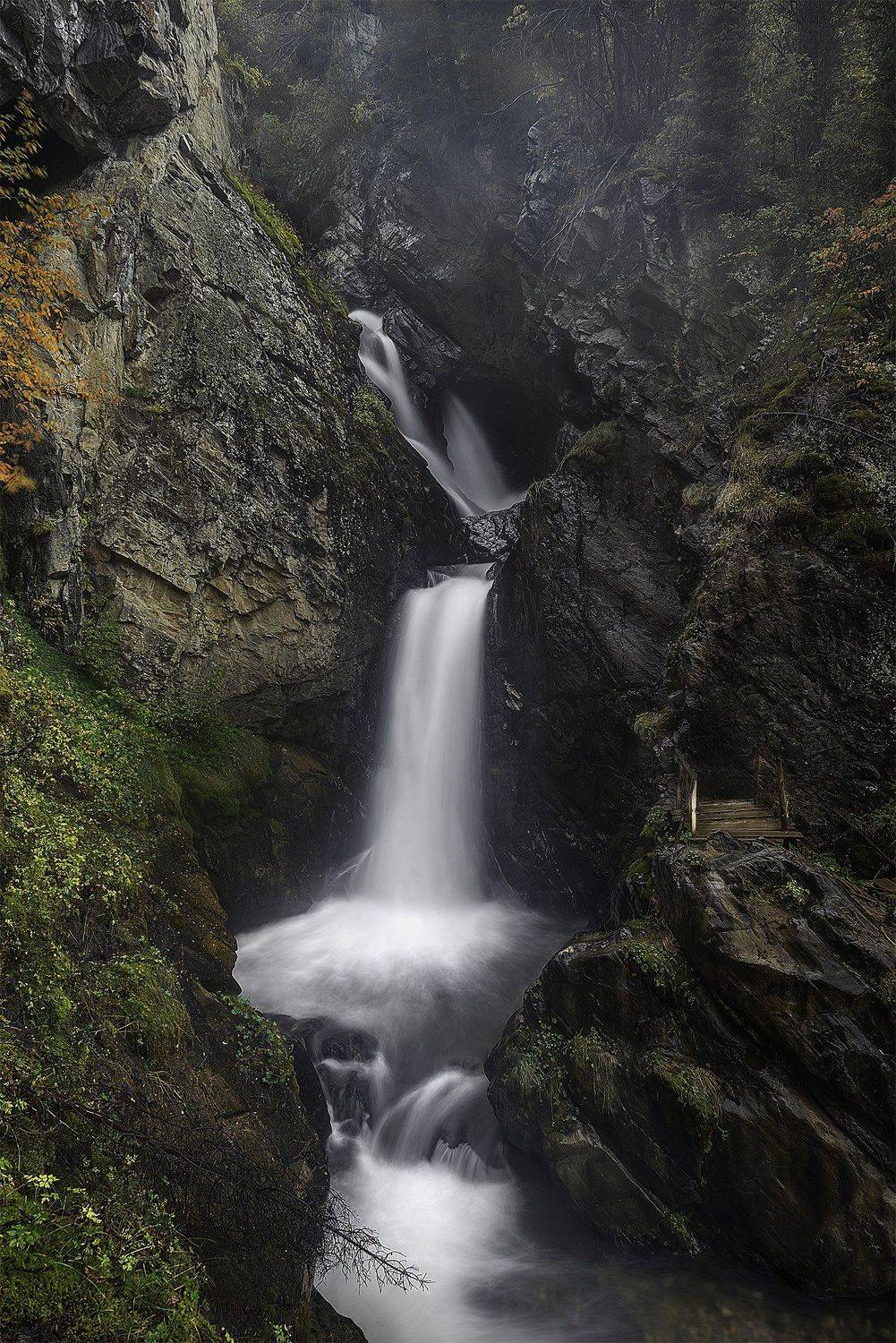 , Дмитрий Тишков