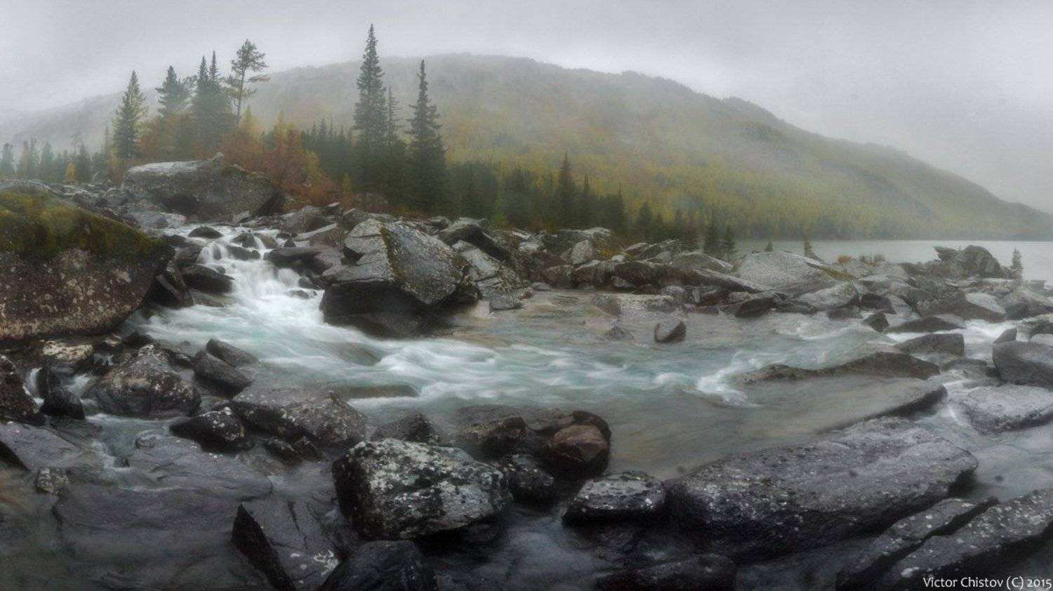 , Виктор Чистов