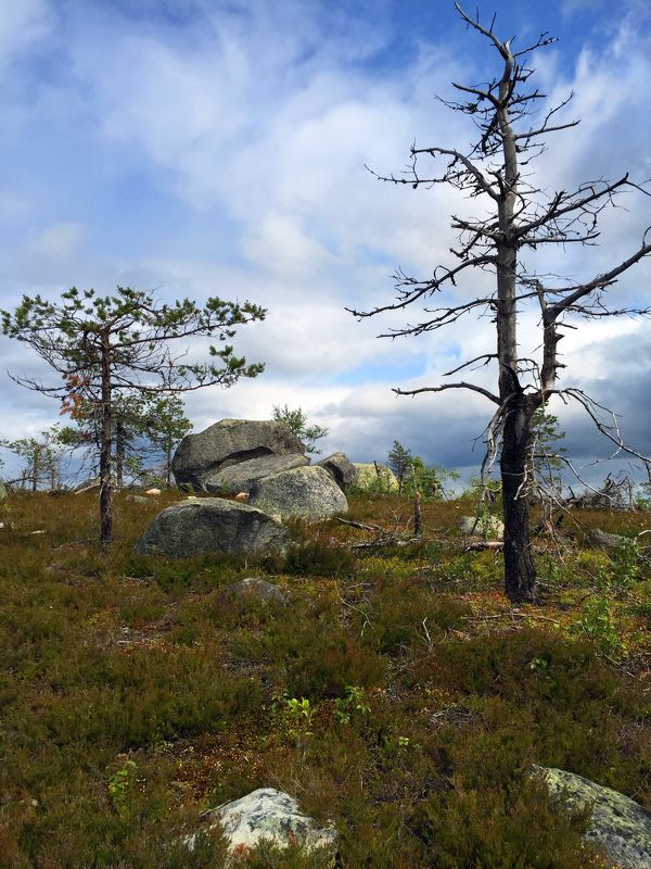 Воттоваара фото превью