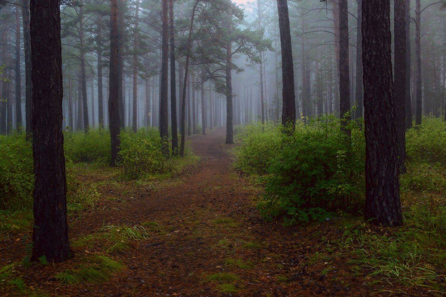 , Сергей Брагин