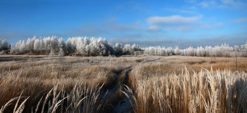 Русский пейзаж )