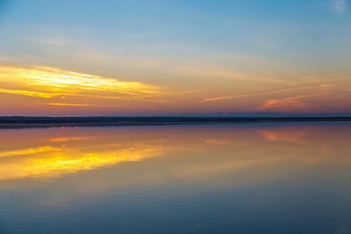 Печора золотая