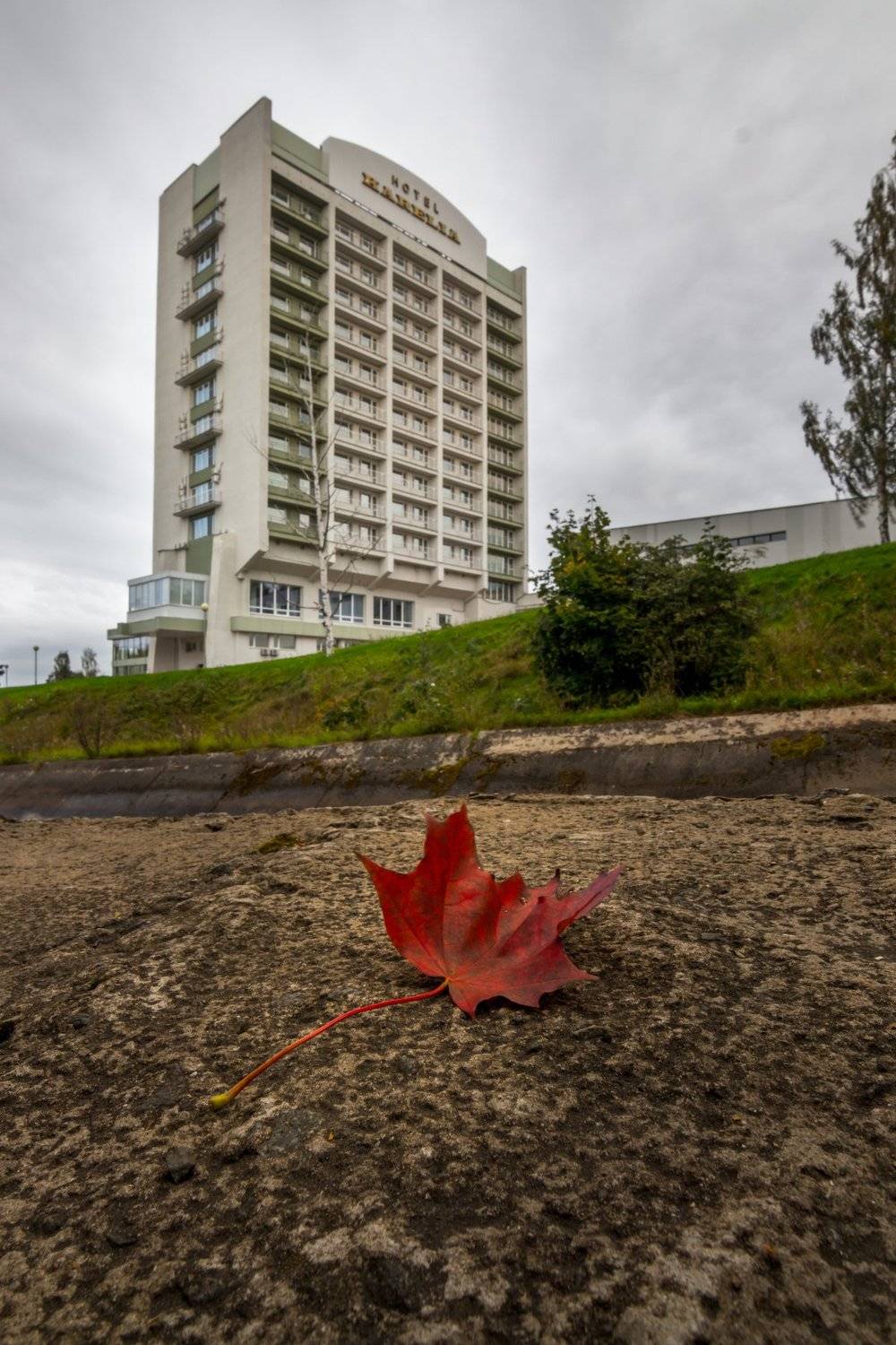 Осень, листик, Михаил Проскалов