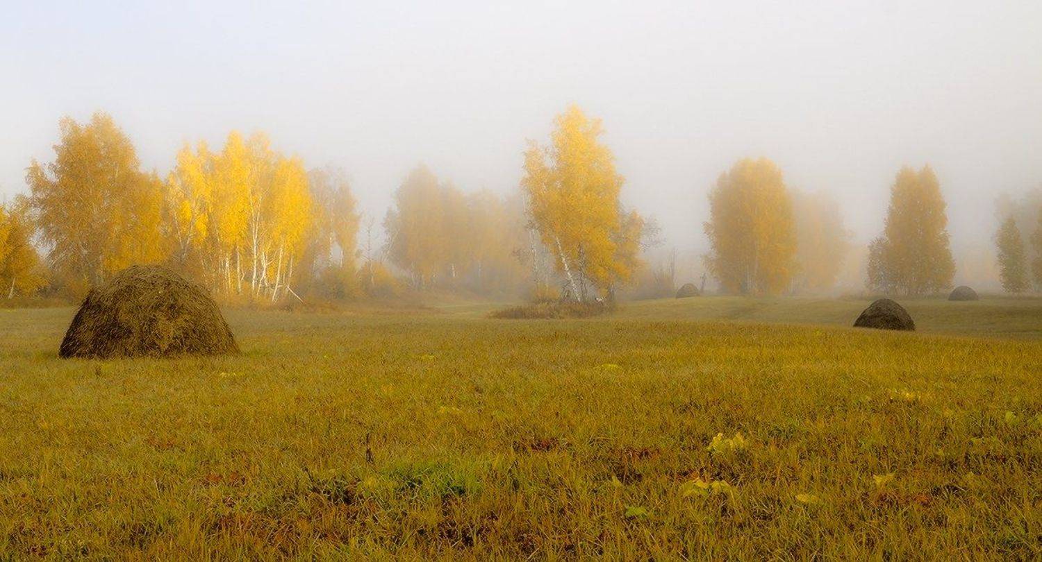 , Николай Морский