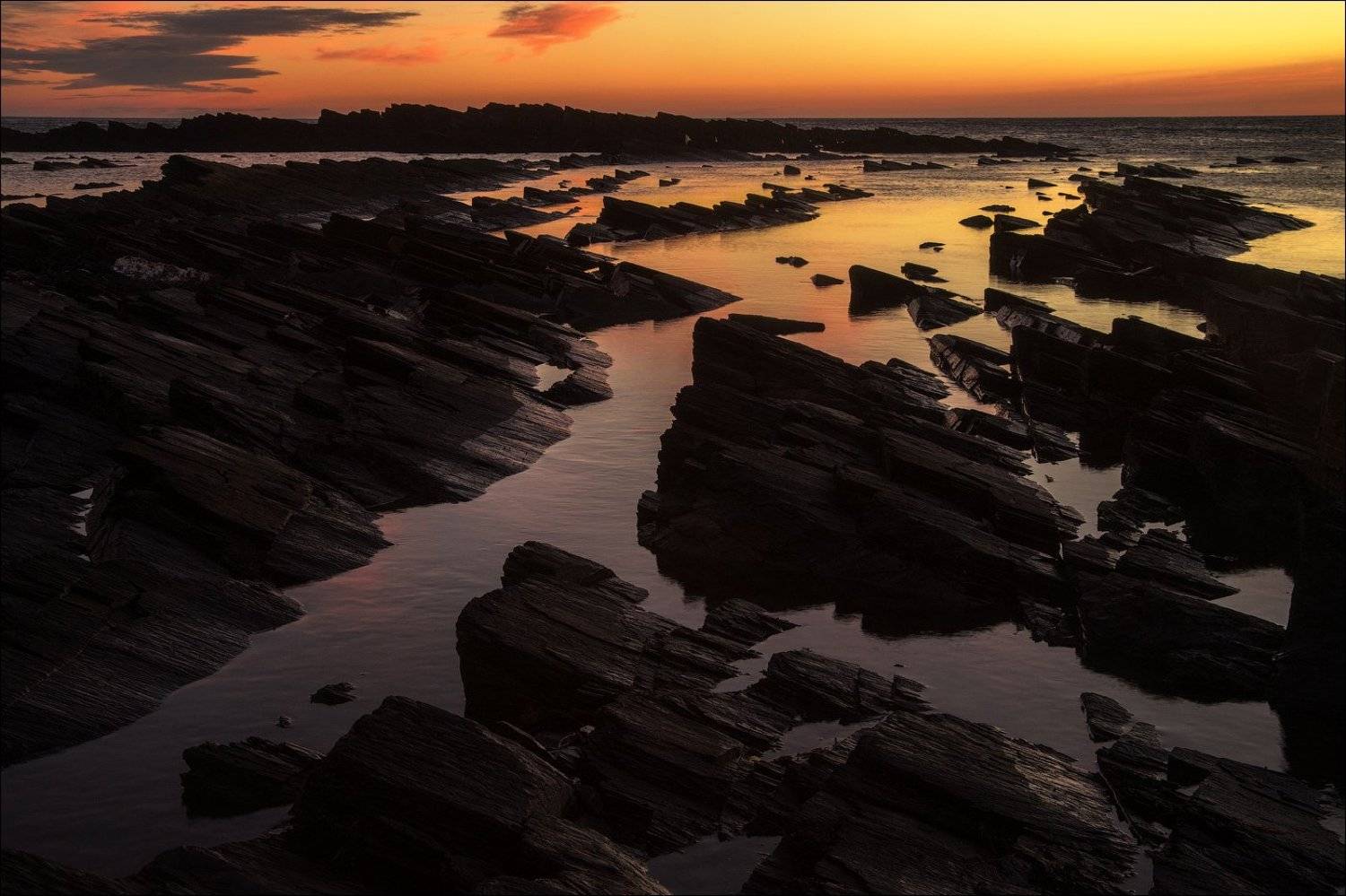 , Гусев Василий